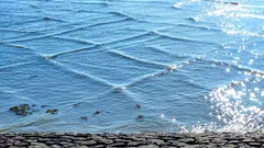 Häiriö Matrixissä: Michiganjärvellä havaittiin harvinaisia neliöaaltoja