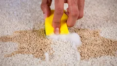 Matto on kuin uusi 10 minuutissa: tehokas niksi ilman pölyn tamppausta tai imuria