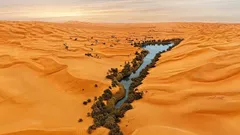 Maan kuivimman aavikon alla, kahden metrin syvyydessä, löydettiin piilossa ollut 