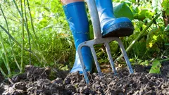 Puutarha maaliskuussa: 4 erittäin tärkeää asiaa, jotka pitää saada tehtyä ennen kuun loppua