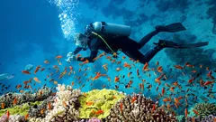 Merenalaiset salaisuudet: 6 paikkaa, joihin sukeltajat ympäri maailmaa haaveilevat pääsevänsä vuonna 2026