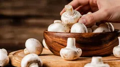 Pysyvät tuoreina viikon ajan: viljelijä paljasti niksin, jolla sienet säilyvät