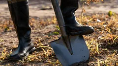 Huhtikuussa kasvimaalle kannattaa ripotella tätä lannoitetta: maasta tulee 10 kertaa ravinteikkaampi