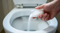 Tavallinen suola liuotti WC-pöntön tukoksen 10 minuutissa: kuinka paljon sitä pitää kaataa?