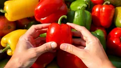 Mikä paprika on terveellisin – punainen, keltainen vai vihreä? Asiantuntijat tekivät lopun kiistasta